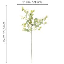 Prodotto Ramo artificiale di eucalipto con foglie rotonde, 75 cm, 4 pezzi