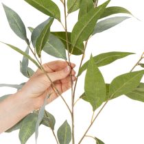 Prodotto Ramo artificiale di eucalipto, verde naturale, decorativo, 100 cm