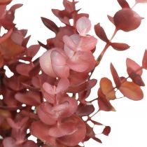 Decorazione autunnale ramo di eucalipto rosso Eucalipto artificiale 36cm