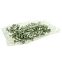 Prodotto Ramo di eucalipto verde satinato 25 pz