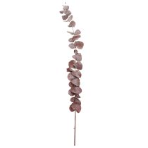 Prodotto Rami di eucalipto, eucalipto conservato, fiori secchi, rossi, 75 cm, 150 g