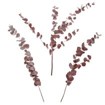 Prodotto Rami di eucalipto, eucalipto conservato, fiori secchi, rossi, 75 cm, 150 g