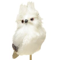Prodotto Gufo sull&#39;asta bianco 9 cm L48 cm