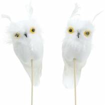 Prodotto Decorazione bouquet Owl White 10cm 2 pezzi