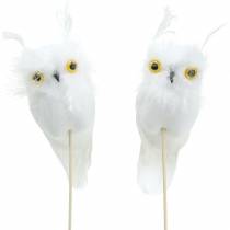 Decorazione bouquet Owl White 10cm 2 pezzi