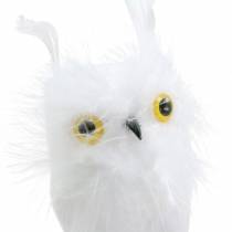 Prodotto Decorazione bouquet Owl White 10cm 2 pezzi
