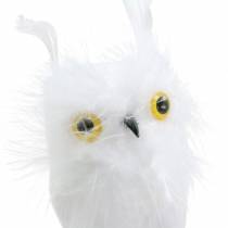 Decorazione bouquet Owl White 10cm 2 pezzi
