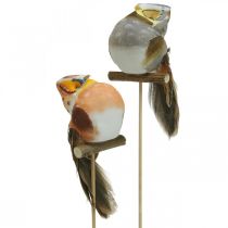 Prodotto Deco plug gufo, decorazione floreale, gufo con piume H5,5cm 6pz