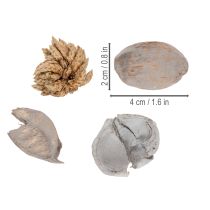 Prodotto Decorazione da tavola con potpourri e noci per un'atmosfera estiva naturale.