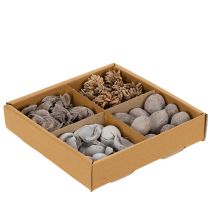 Prodotto Decorazione da tavola con potpourri e noci per un'atmosfera estiva naturale.