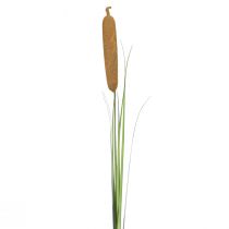 Prodotto Piante artificiali, tifa artificiale, decorazione in canna 92cm