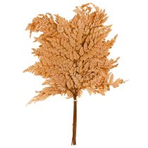 Prodotto Decorazione di felce conservata arancione 45 cm 10 pezzi Decorazione per la casa fai da te