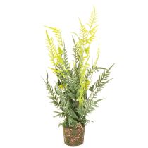 Prodotto Pianta di felce artificiale con zolla di radici per decorazione di casa e ufficio, 57 cm