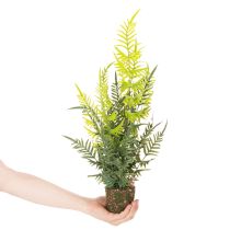 Prodotto Pianta di felce artificiale con zolla di radici per decorazione di casa e ufficio, 57 cm