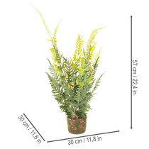 Prodotto Pianta di felce artificiale con zolla di radici per decorazione di casa e ufficio, 57 cm