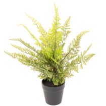 Prodotto Pianta di felce artificiale in vaso per interni, 40 cm