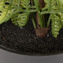 Prodotto Pianta di felce artificiale in vaso per interni, 40 cm