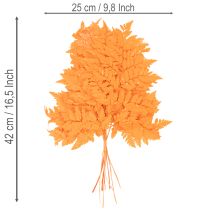 Prodotto Fronde di felce essiccate e conservate per composizioni floreali e decorazioni autunnali, 42 cm, 10 pezzi