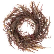 Prodotto Ghirlanda artificiale con rami di felce, decorazione autunnale, 35 cm