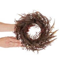 Prodotto Ghirlanda artificiale con rami di felce, decorazione autunnale, 35 cm