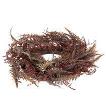 Prodotto Ghirlanda artificiale con rami di felce, decorazione autunnale, 35 cm