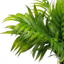 Prodotto Fronde di palma decorazione di palma piante artificiali verdi 30 cm 3 pezzi