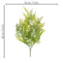 Prodotto Pianta artificiale di felce sospesa, elemento decorativo per interni, accenti moderni, 80 cm