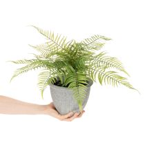 Prodotto Felce artificiale in vaso per soggiorno e ufficio, 35 cm