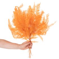 Prodotto Ramo di felce, felce conservata, decorazione essiccata per composizioni, 60 cm, 10 pezzi
