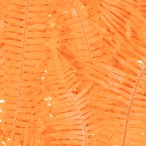 Prodotto Ramo di felce, felce conservata, decorazione essiccata per composizioni, 60 cm, 10 pezzi