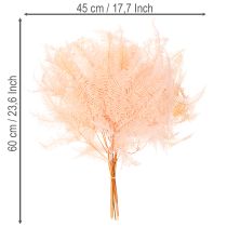 Prodotto Fronde di felce essiccate, decorazione per vasi, 60 cm, 10 pezzi