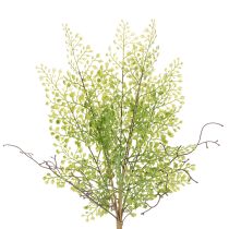 Prodotto Ramo artificiale di Ruscus verde per decorazioni floreali, 41 cm