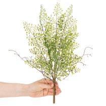 Prodotto Ramo artificiale di Ruscus verde per decorazioni floreali, 41 cm