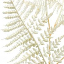 Foglia di felce decorativa, pianta artificiale, ramo di felce, foglia di felce decorativa bianca L59cm