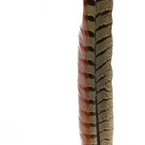 Prodotto Decorazione di piume di fagiano Piume vere naturali 40 cm 9 pz