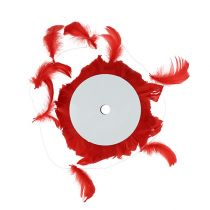 Piume su filo Rosso 10m