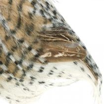 Prodotto Gufo della foresta, decorazione autunnale, gufo decorativo, Halloween H16cm