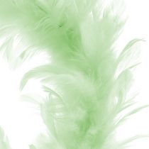 Ghirlanda di piume Verde chiaro Ø20cm 3pezzi