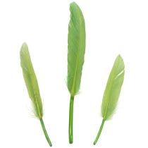 Prodotto Piume decorative per un ambiente elegante e decorazioni naturali 10cm