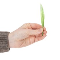 Prodotto Piume decorative per un ambiente elegante e decorazioni naturali 10cm