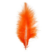 Prodotto Piume corte 30g Arancione