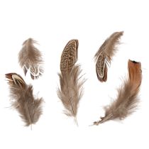 Prodotto Piume per idee artigianali versatili, design creativo e idee decorative, 5 cm, 3 g