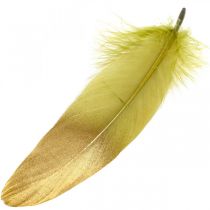 Piume per artigianato Piume decorative Verde-Oro L16-20cm 24pz
