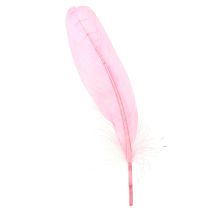 Prodotto Piume per l&#39;artigianato Piume d&#39;oca rosa 18 cm - 20 cm 20 g x 2 pezzi