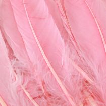 Prodotto Piume per l'artigianato Piume d'oca rosa 18 cm - 20 cm 20 g x 2 pezzi