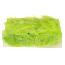 Prodotto Piume per lavorazione con decorazione di piume verde chiaro 5-10 cm 20 g