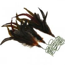 Prodotto Decorazione piume colorate su filo decorazione primaverile primavera H35cm 3pz