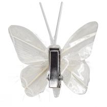 Prodotto Farfalle di piume su clip glitter bianco 5x4,5 cm 4 pz