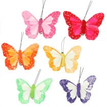 Farfalle con piume su clip multicolore 7cm 12 pezzi