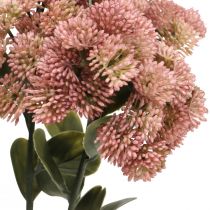 Prodotto Borracina Rosa Sedum Borracina Fiori Artificiali H48cm 4pz